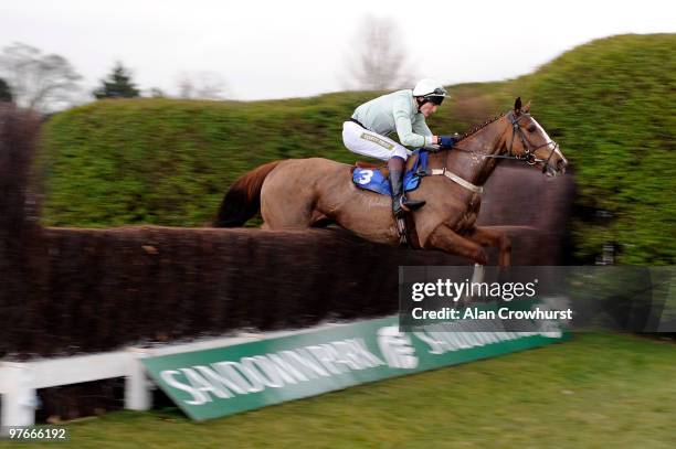 Van Ness and Captain T.W.C. Edwards clear the last to win The Queen Elizabeth The Queen Mother Memorial Hunters' Steeple Chase run at Sandown Park on...