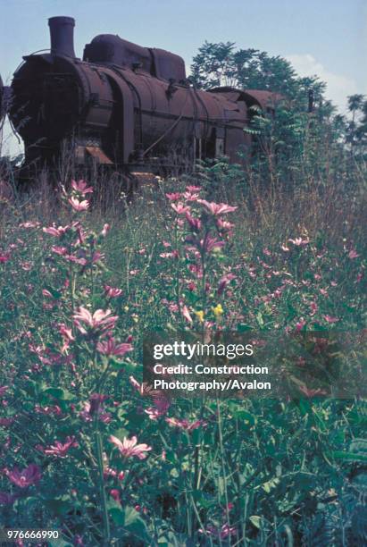 The flowers of high summer linger amid the locomotive dump at Thessaloniki in Greece as a 2-10-0 based on the design of the Austrian 580 Class lies...