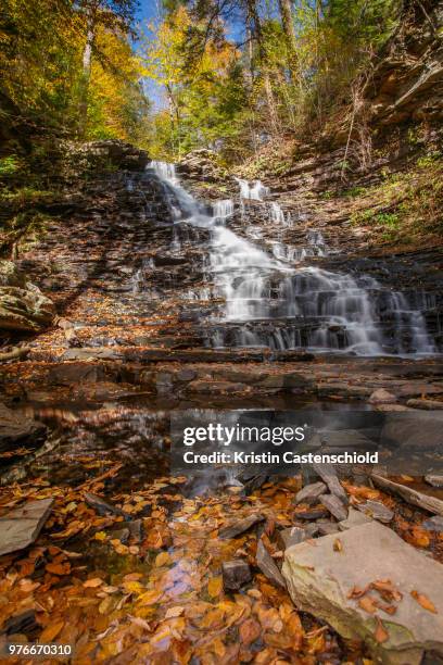 rickets glen state park - rickets stock pictures, royalty-free photos & images
