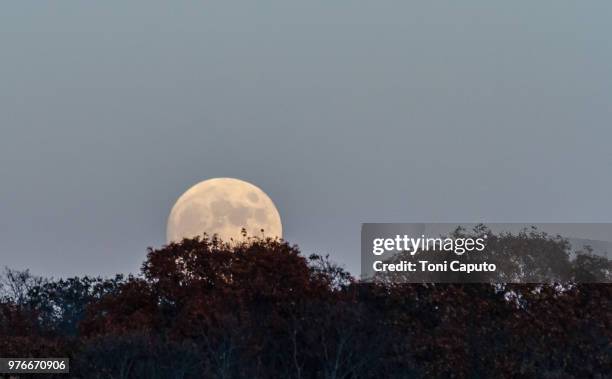 full-moon rise - caputo - fotografias e filmes do acervo