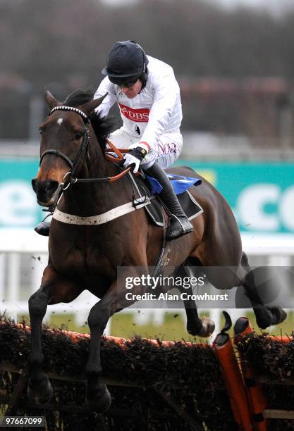 Lush Life and Barry Geraghty clear the last to win The Charles Stanley 'National Hunt' Novice' Hurdle Race run at Sandown Park on March 12, 2010 in...
