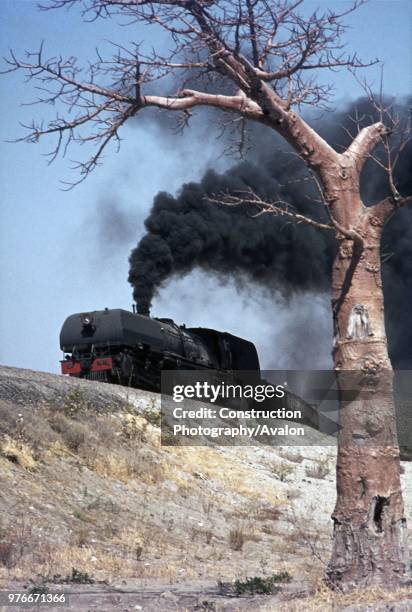 Baobab tree makes a fine foil fo a 15 class 4-6-4 + 4-6-4 Garratt departing from Wankie with a Bulawayo bound coal train on Saturday 28th July 1973.