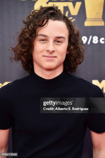 Actor Wyatt Oleff attends the 2018 MTV Movie And TV Awards at Barker Hangar on June 16, 2018 in Santa Monica, California.