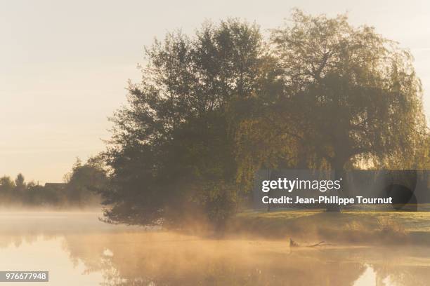 early morning sunlight by a lake in rural france - chapeau stock pictures, royalty-free photos & images