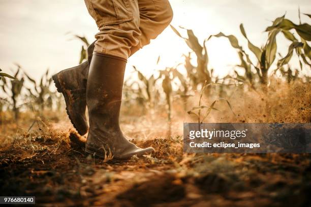 boeren laarzen - veld stockfoto's en -beelden