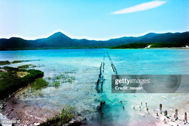 path into the water - mutsu stock pictures, royalty-free photos & images