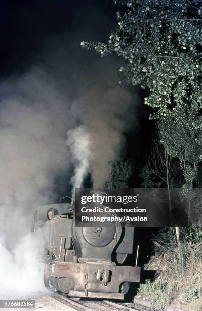 Pair of Turkish Railway's German G8 2-8-0s No.45009 left and 45041 right in the yards at Eregli on Sunday 1st August 1976.