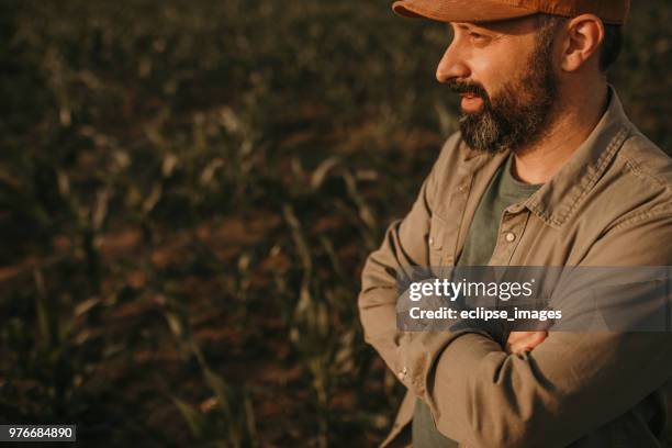 it's gonna rain - worried farmer stock pictures, royalty-free photos & images