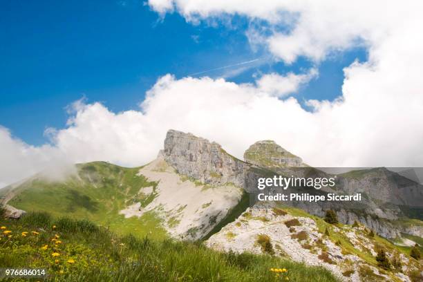 leysin - switzerland - leysin stock pictures, royalty-free photos & images