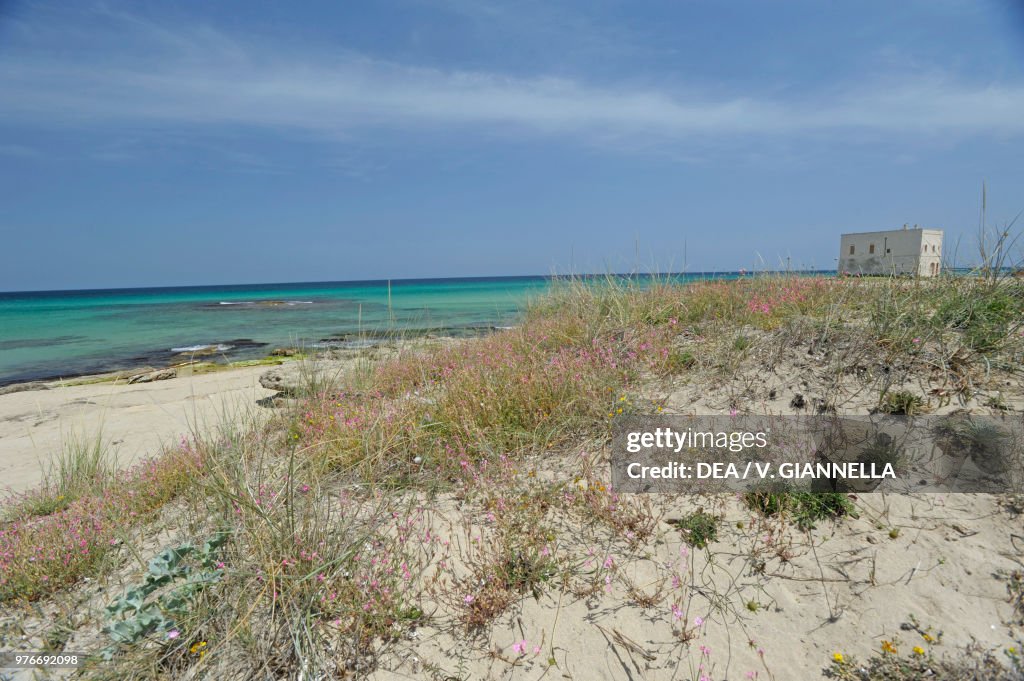 View of San Leonardo Tower from dunes of Pilone