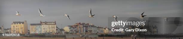 flight path - flight path stock pictures, royalty-free photos & images