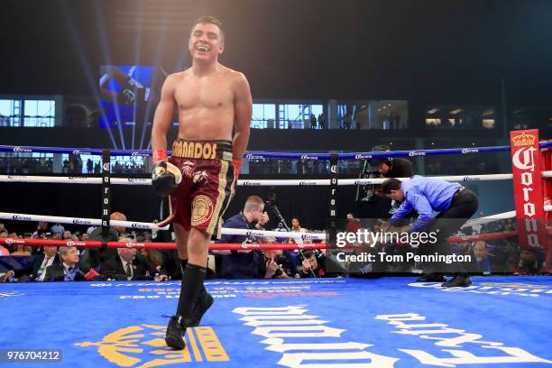 Referee Robert Chapa stops the bout after Javier Fortuna falls from the ring during the fourth round of a Jr. Welterweight bout against Adrian...