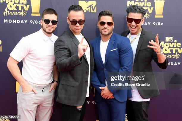 Vinny Guadagnino, Mike Sorrentino, DJ Pauly D and Ronnie Ortiz-Magro attend the 2018 MTV Movie And TV Awards at Barker Hangar on June 16, 2018 in...