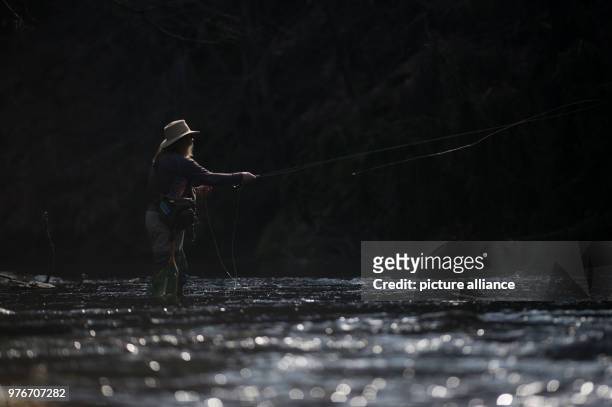 April 2018, Treseburg, Germany: Fly fisherman Andreas Nowak from Harsum in Lower Saxony stands with his fishing rod in the Bode and fishes for Harz...