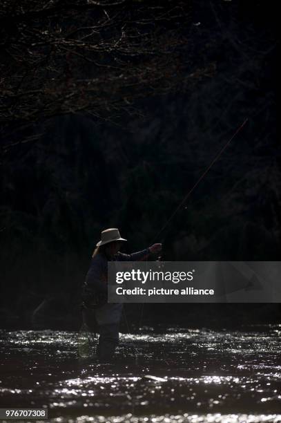 April 2018, Treseburg, Germany: Fly fisherman Andreas Nowak from Harsum in Lower Saxony attaches a nymph at the end of the flying line to fish for...