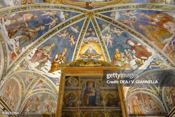 The polyptych of Giovanni and Antonio Marinoni dedicated to the Madonna del Latte and the Holy Trinity, in the background the frescoes in the vault...