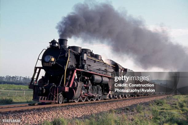 American Steam scaled down to metre gauge operation as a Texas type 2-10-4 Baldwin Built in 1940 and ex Central of Brazil Railway heads a rake of...