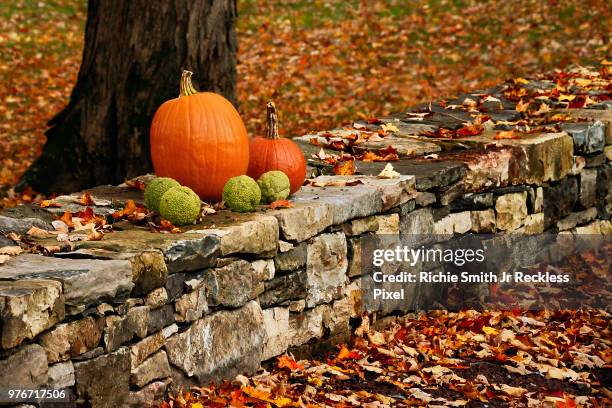 pumpkin on wall - jr wall stock pictures, royalty-free photos & images