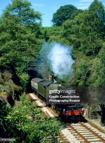 Cumbrian Mountain Express. No 4472 Flying Scotsman bursts out of Baronwood Tunnel en route from Carlisle to Appleby. . , United Kingdom.