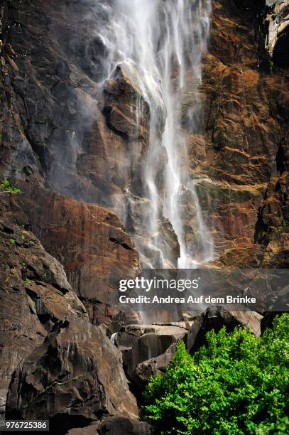 bride veil - auf dem land foto e immagini stock