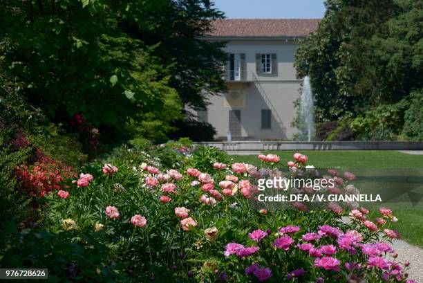 Herbaceous peonies , Paeoniaceae, and Villa Raimondi, designed by the architect Simone Cantoni , Vertemate con Minoprio, Lombardy, Italy, 18th...