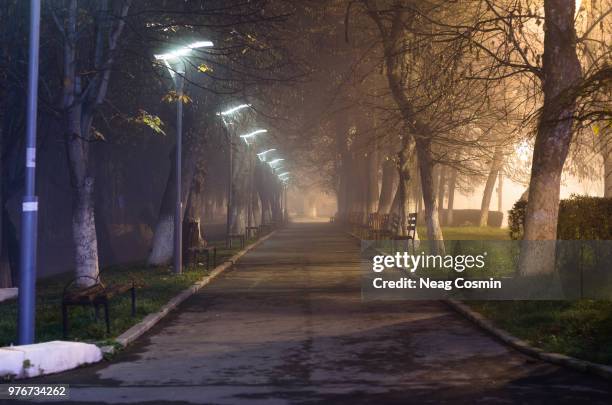 empty park at night, fagaras, romania - voie pédestre photos et images de collection