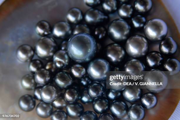Black pearls, Fakarava, Tuamotu islands, French Polynesia.