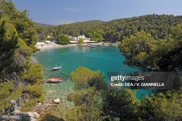 Agnontas Bay surrounded by vegetation, Skopelos Island, Northern Sporades, Greece.