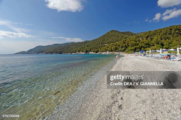 View of the beach of Milia, Skopelos Island, Northern Sporades, Greece.