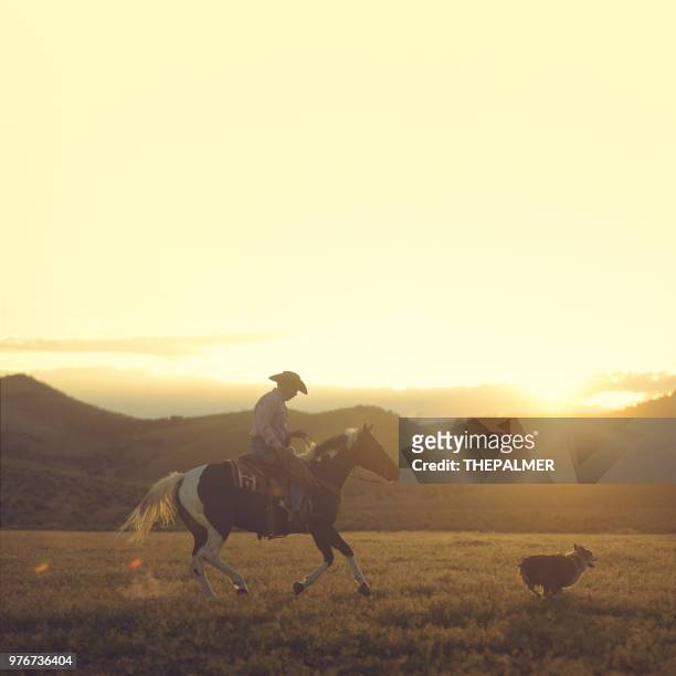 牛仔騎馬與他的狗 - prairie dog 個照片及圖片檔