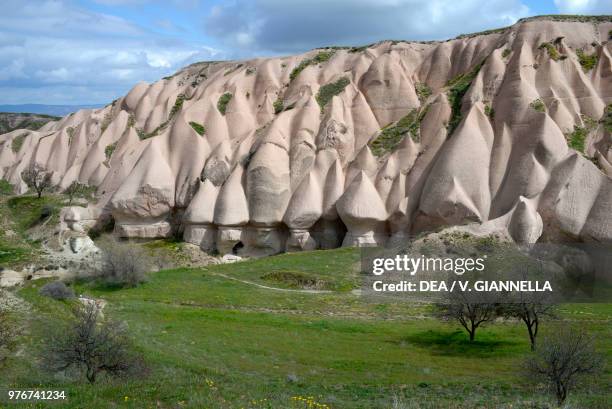 Fairy chimneys, forms of erosion in the volcanic tuff in Pigeon Valley near Uchisar, Goreme National Park , Cappadocia, Turkey.