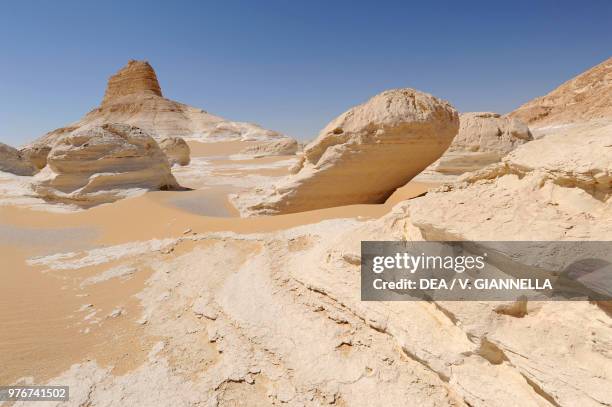 Seaweed fossils, White desert, Sahara desert, Egypt.
