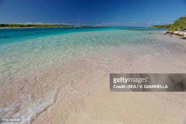 Pink sand beach in Terre-de-Haute, Petite Terre, Guadeloupe, Overseas Department of the French Republic.