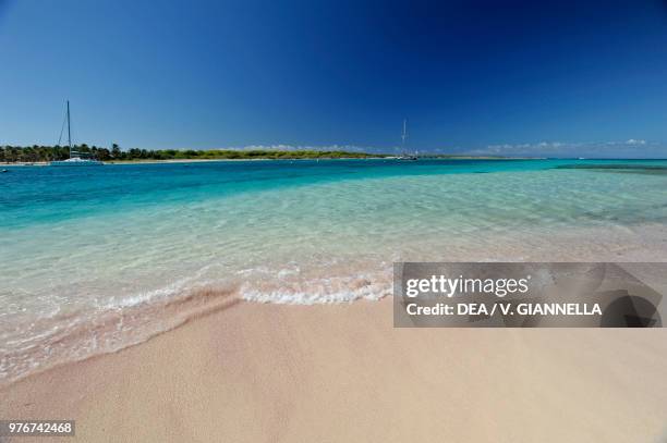 Pink sand beach in Terre-de-Haute, Petite Terre, Guadeloupe, Overseas Department of the French Republic.