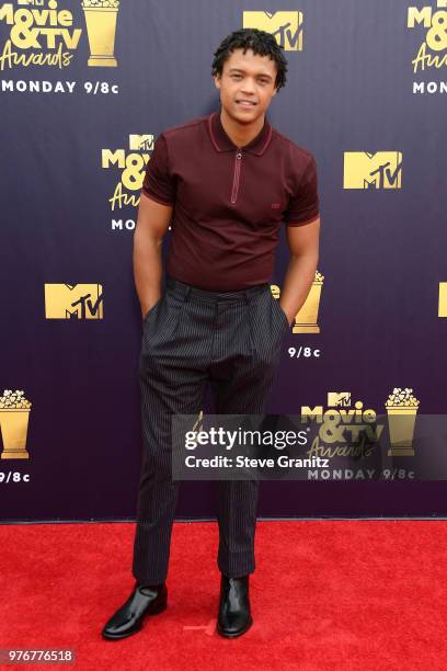 Actor Percelle Ascott attends the 2018 MTV Movie And TV Awards at Barker Hangar on June 16, 2018 in Santa Monica, California.