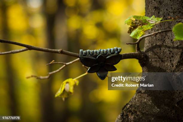 Robbert Plot 997 Robert Plot In Stock Photos, High-Res Pictures, and Images - Getty ...