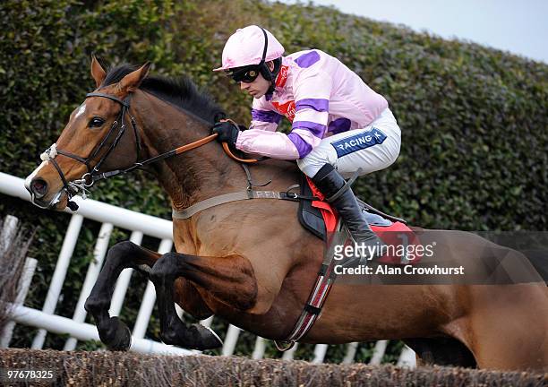 Tchico Polos and Ruby Walsh on their way to victory in The Paddy Power Extra Places At Cheltenham Novices' Steeple Chase run at Sandown Park on March...