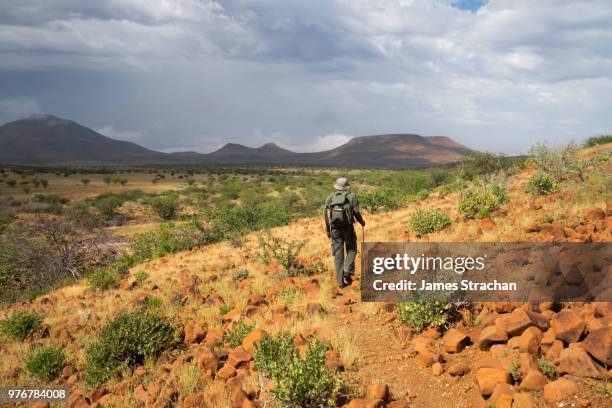 tracker leads the way along a mountain track, etendeka, namibia (model release) - james strachan stock pictures, royalty-free photos & images