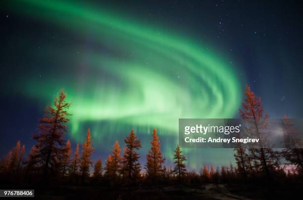 night sky illuminated by northern lights, tyumen oblast, russia - tyumen stock pictures, royalty-free photos & images