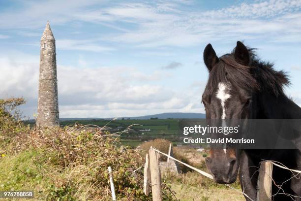 irish horse and ancient round tower - irish round tower stock pictures, royalty-free photos & images