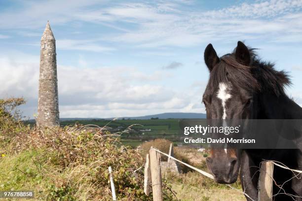 irish horse and ancient round tower - irish round tower 個照片及圖片檔