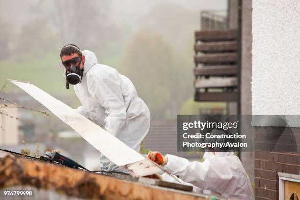 Specialist asbestos removal company removing asbestos from a shed roof of a house in Ambleside, Cumbria, UK.