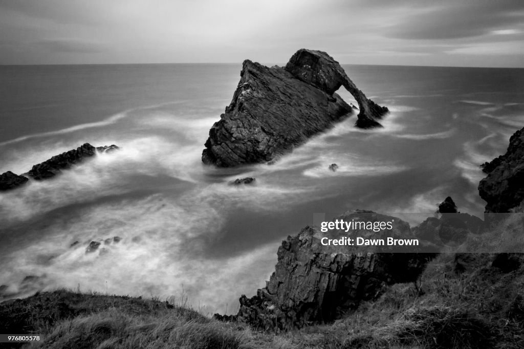 Photo by: Dawn Brown