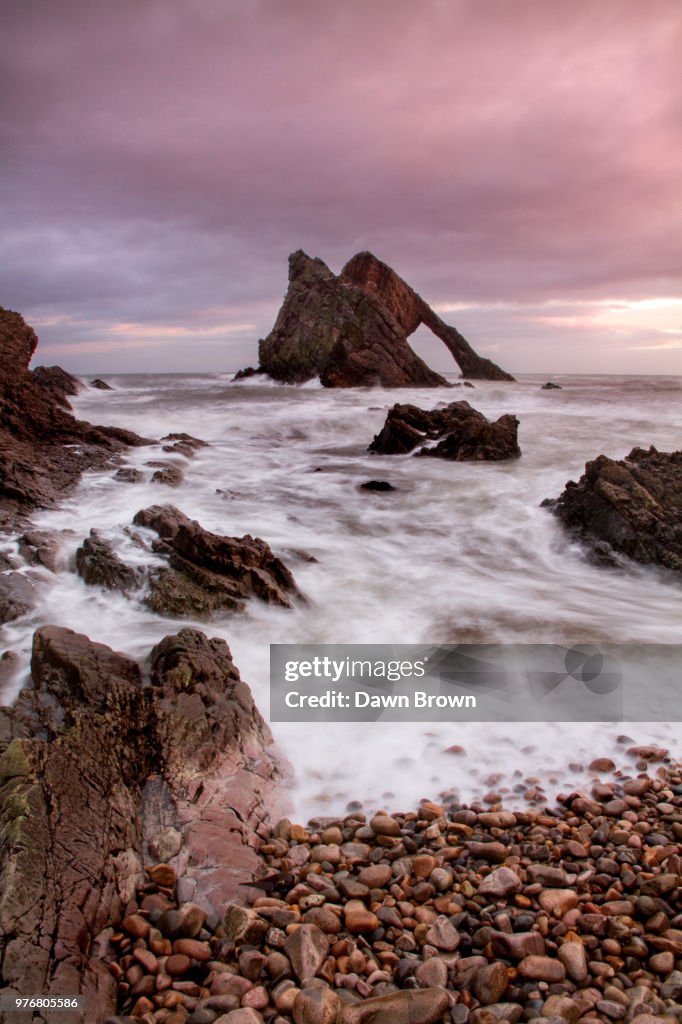 Photo by: Dawn Brown