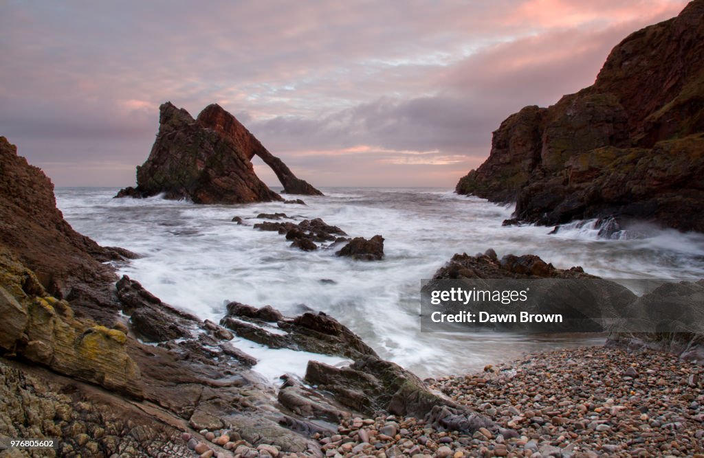 Photo by: Dawn Brown