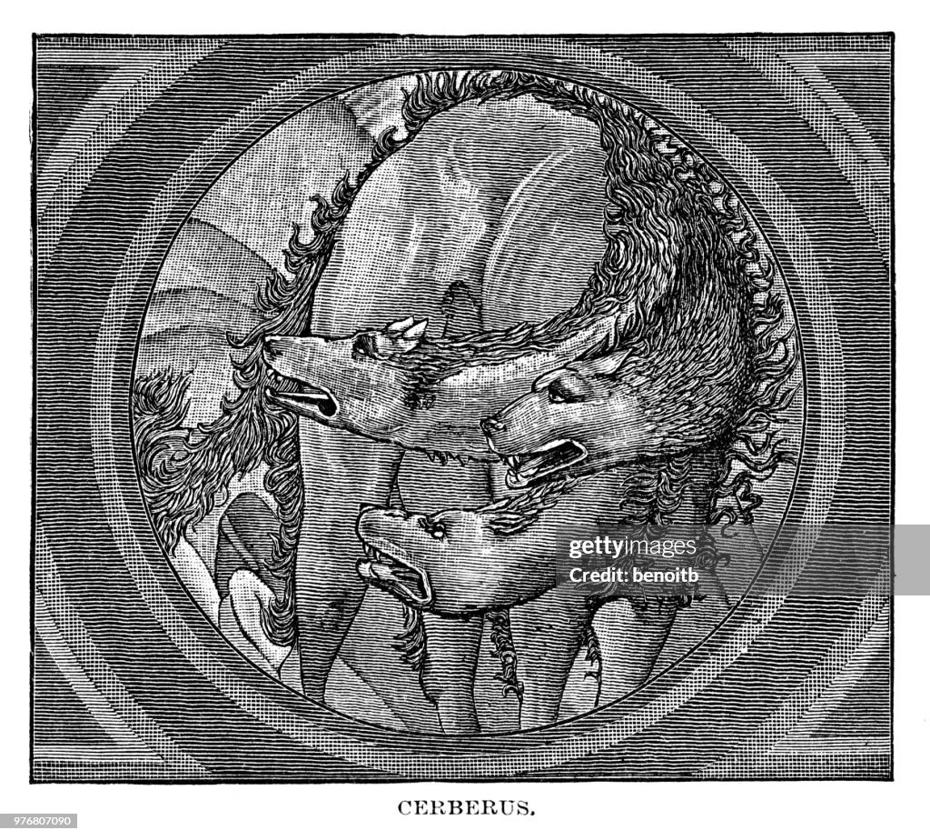Cerberus