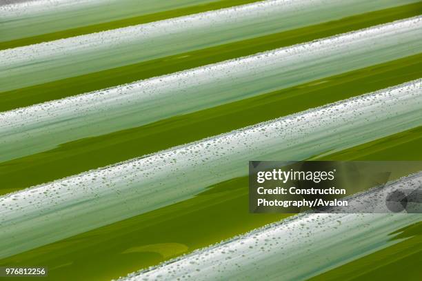 An AlgaeLink Algae growing system that is harvested to make ethanol and biodiesel Producing oil from algae in this way is much more efficient than...