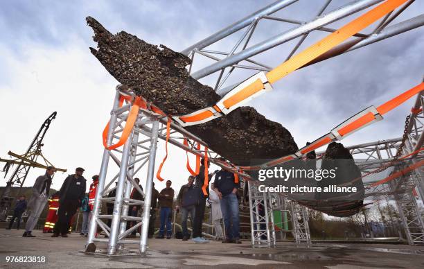 April 2018, Germany, Lindau: A dugout canoe, which is around 3,100 years old, is secured in a transport frame on the banks of Lake Constance. The oak...