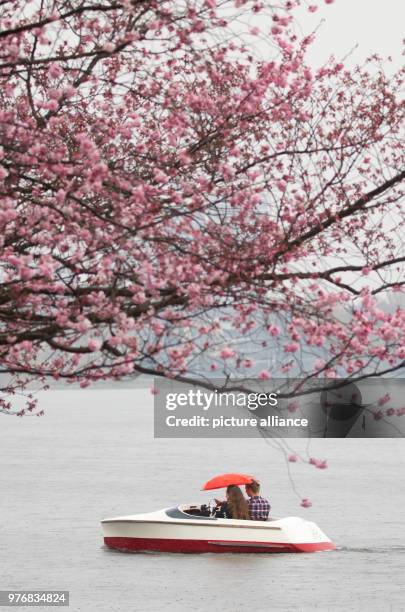 April 2018, Germany, Hamburg: Two people in a pedalo use an umbrella to protect themselves from the rain on the Aussenalster lake. Photo: Christian...