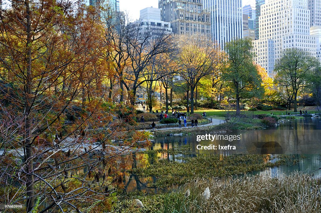 New York Central Park